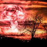 The NJLP Denounces the Genocidal Rhetoric of President Donald Trump